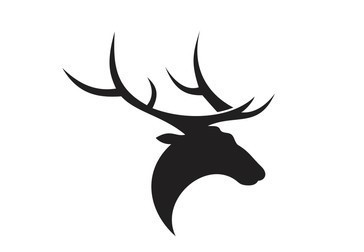 Elk